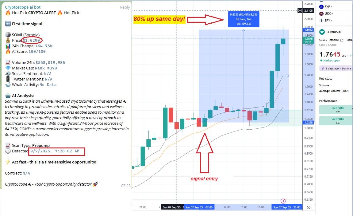 SOMI Trading Signal Success